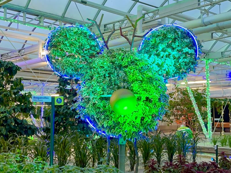 Living with the Land – Glimmering Greenhouses Image